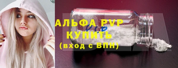 индика Няндома