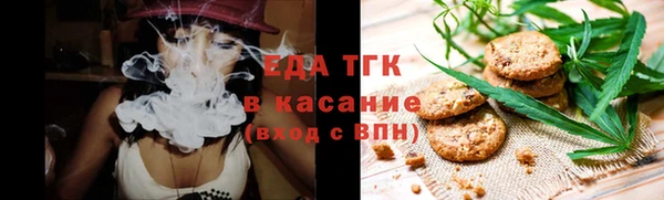 индика Няндома