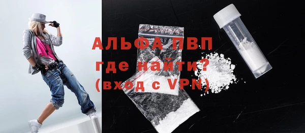 хмурый Новозыбков