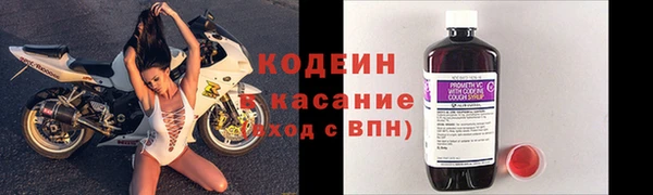 индика Няндома