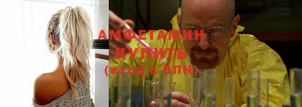 индика Няндома