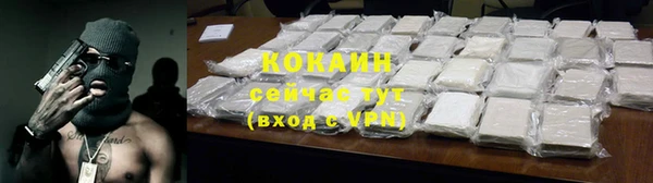 хмурый Новозыбков