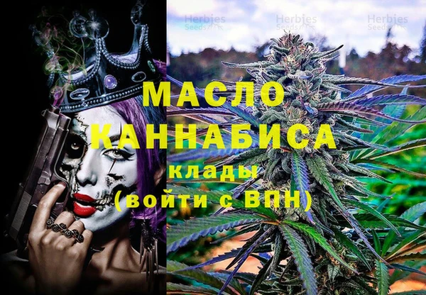 индика Няндома