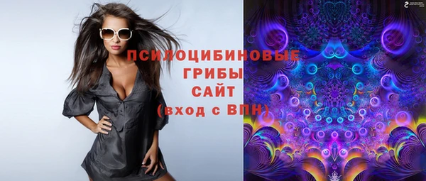 хмурый Новозыбков