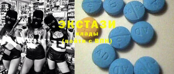 индика Няндома