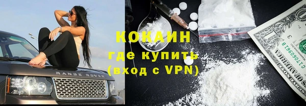 индика Няндома