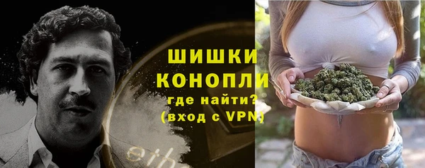 хмурый Новозыбков