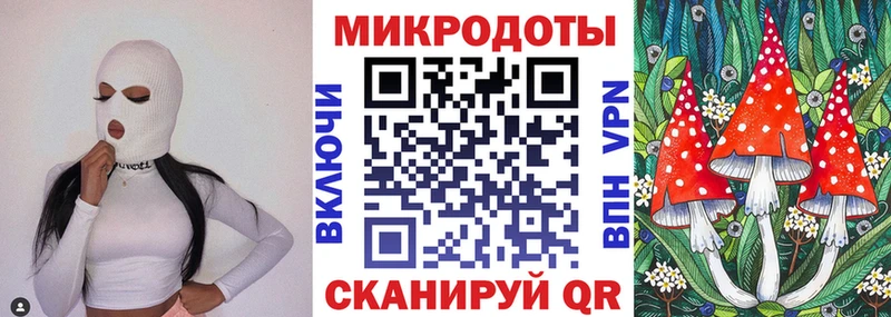 Псилоцибиновые грибы Psilocybine cubensis как найти закладки Козельск